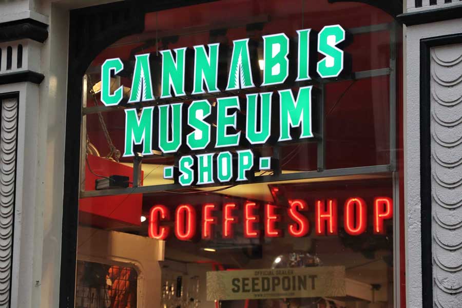 Cannabis Industry New York Cannabis Licensing
