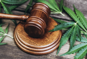 Minnesota cannabis law firm
